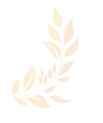 Prêmio HONOR Futura Estrela do Design (Primeiro Lugar) 3