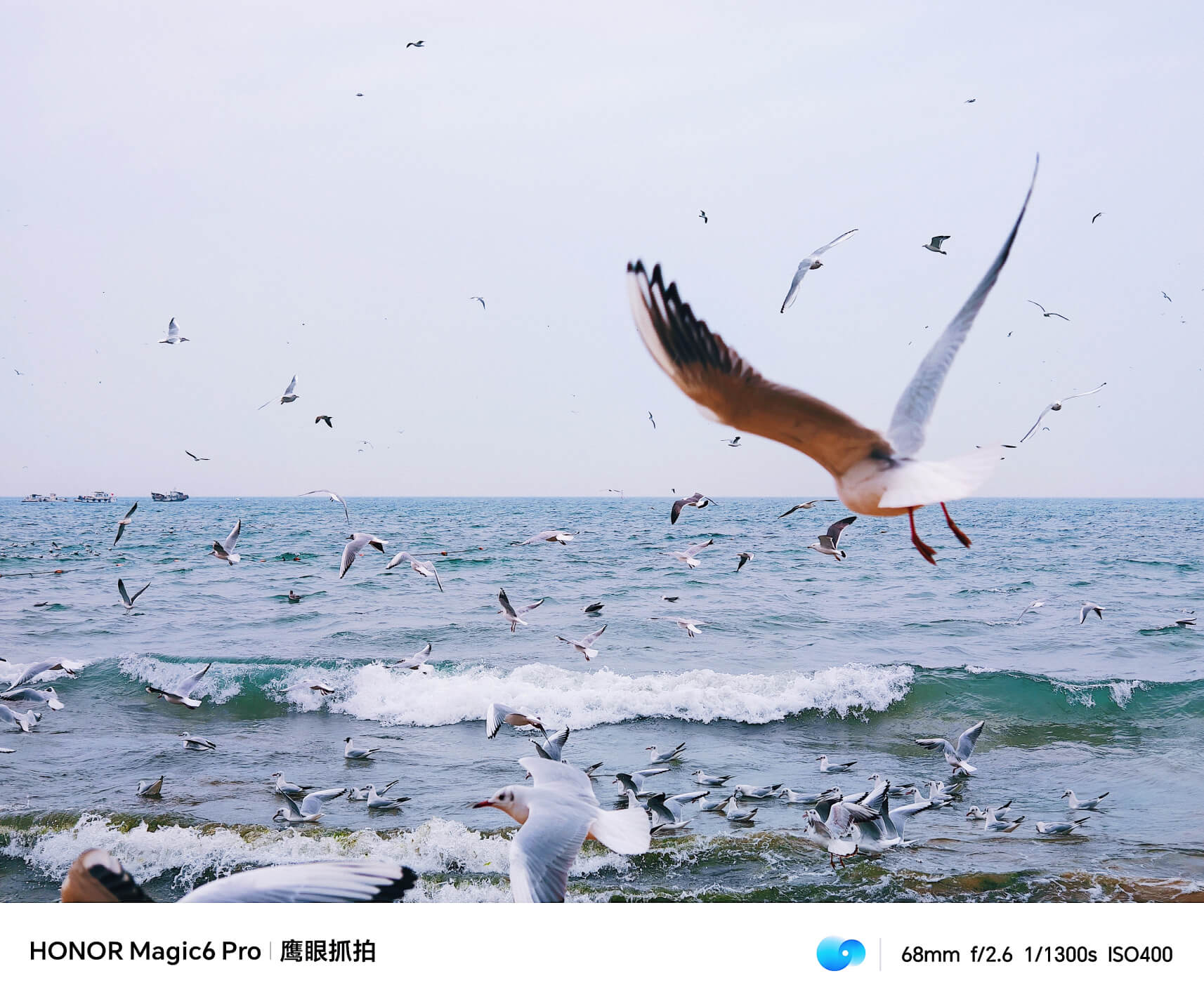 Tema Sazonal do HONOR Magic Moments