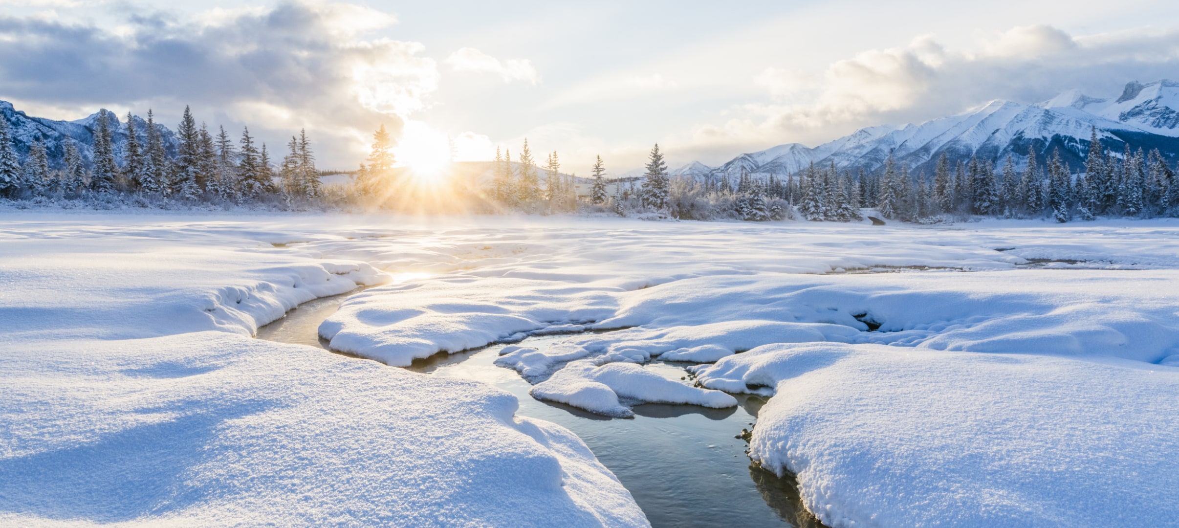 512GB Almacenamiento al nivel de una computadora 5