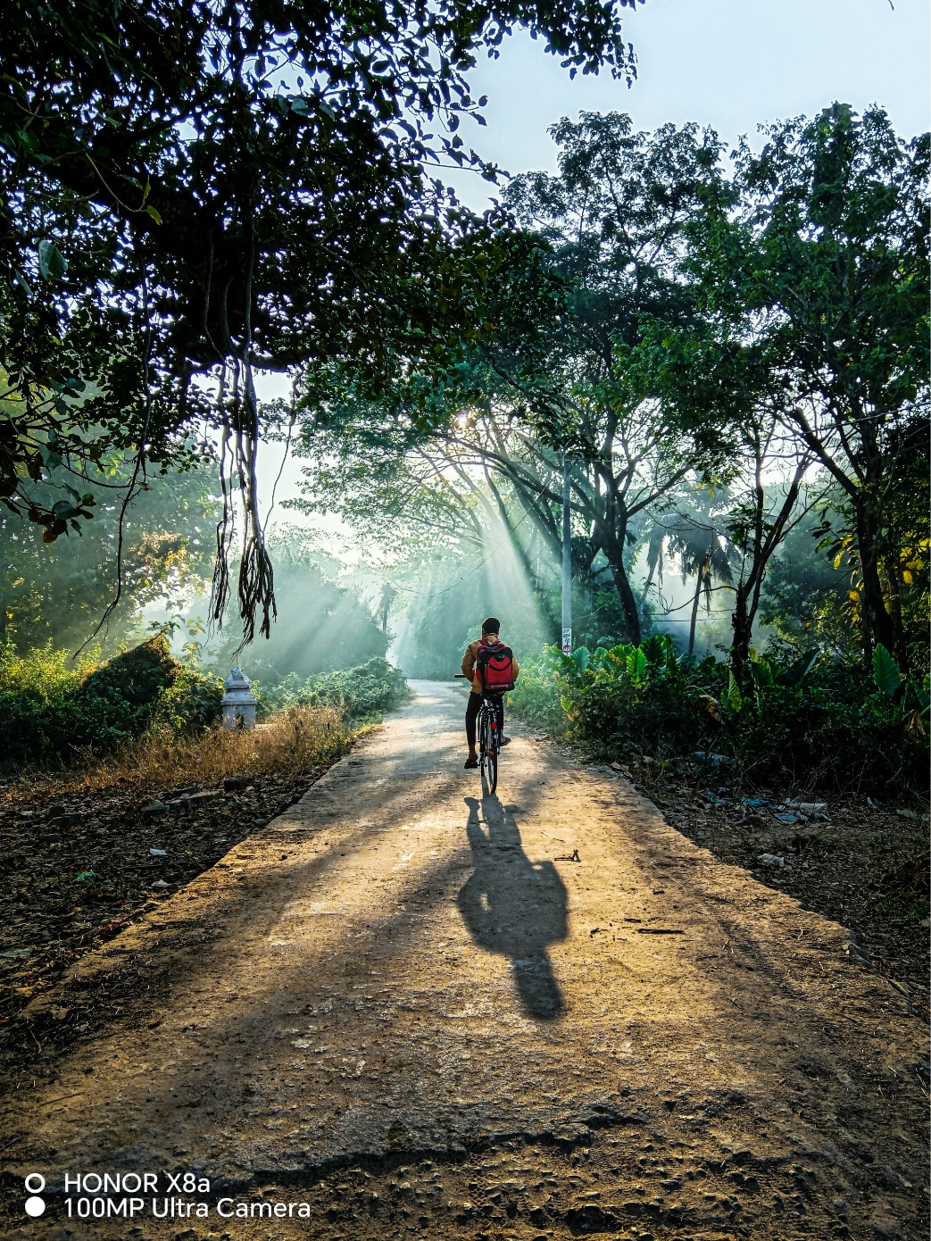 Muestra el encanto de las luces y las sombras 2