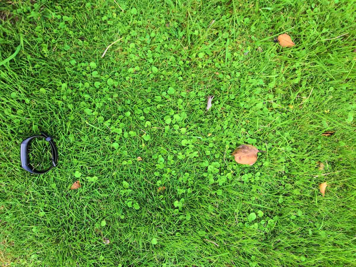 【荣耀少年】超高性价的荣耀手环4开局火爆都是因为…