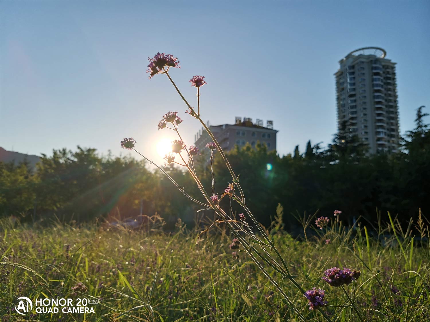 荣耀20 PRO超广角带你看更广阔的世界 