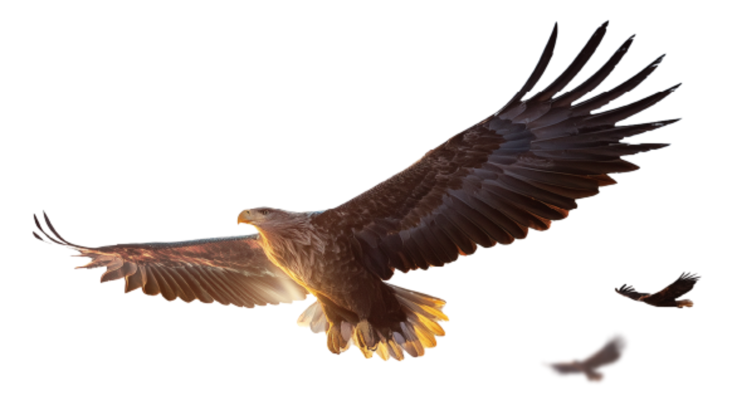 荣耀2026届校招宣讲会 15