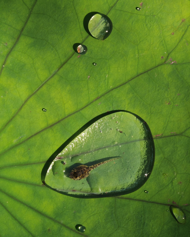 往届荣耀影像大赛获奖作品2024届