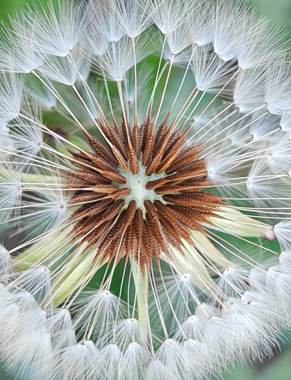 往届荣耀影像大赛获奖作品2024届