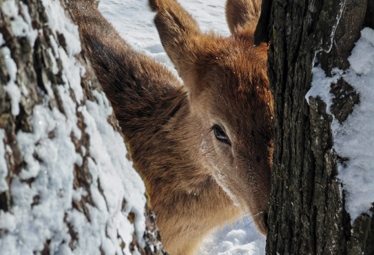 往届荣耀影像大赛获奖作品2024届