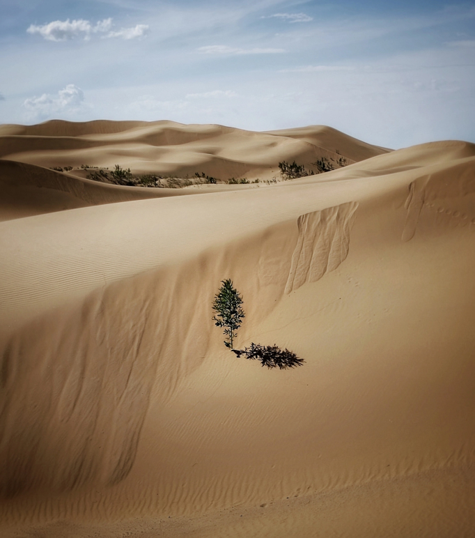 往届荣耀影像大赛获奖作品2024届