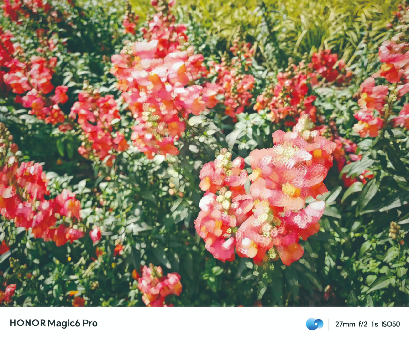 荣耀手机影像计划 主题活动