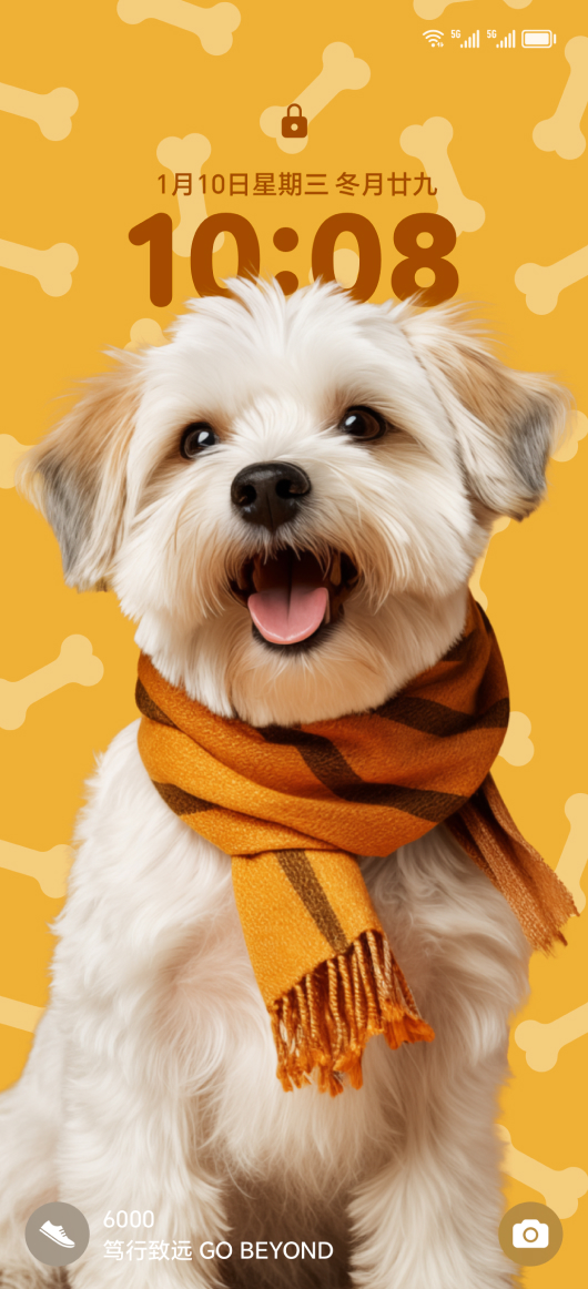 个性美感 锁定愉悦 3