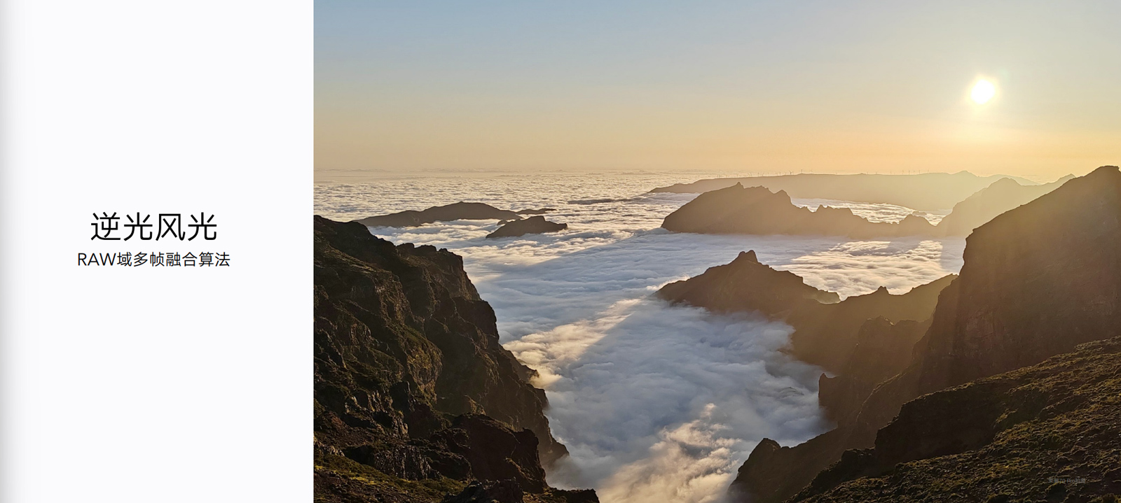 传承经典光影美学,荣耀70系列致力再造颜值天花板:美,焦点在我