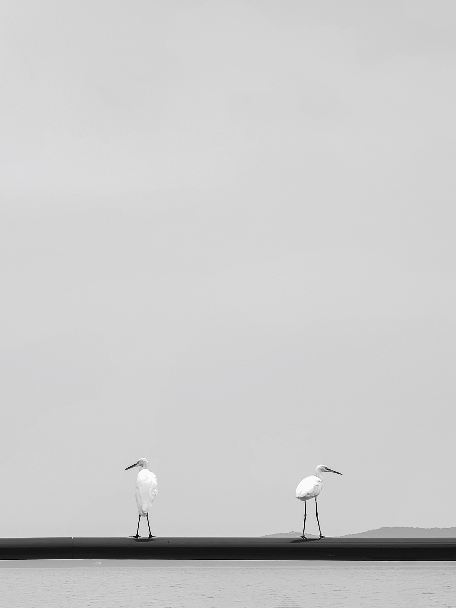 中国粉丝也就那样8181 用荣耀Magic3 Pro手机拍摄，来自荣耀俱乐部