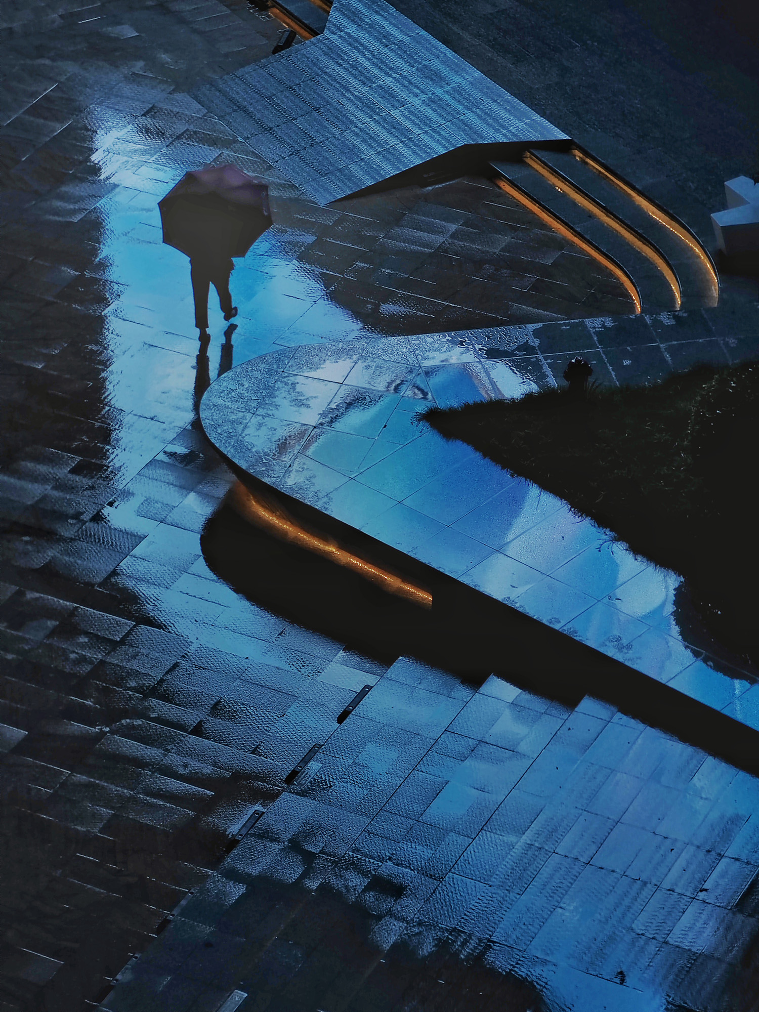 中国粉丝蔡俊标 用荣耀Magic3 Pro手机拍摄，来自荣耀俱乐部