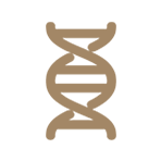 蛋白质率