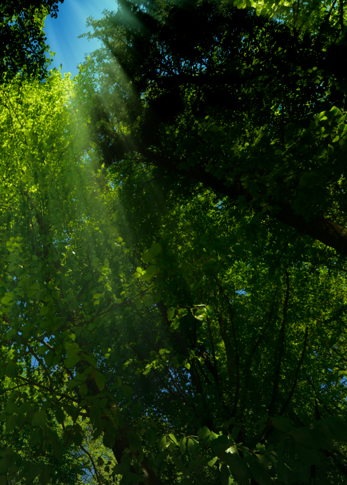 超高频PWM零风险调光