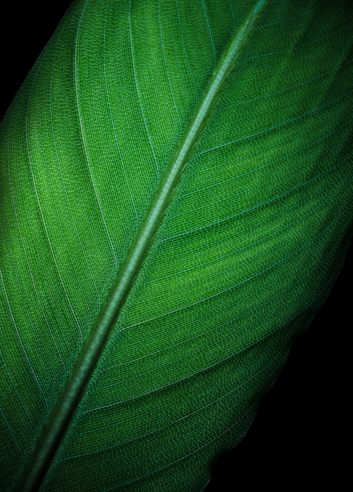 超高频PWM零风险调光