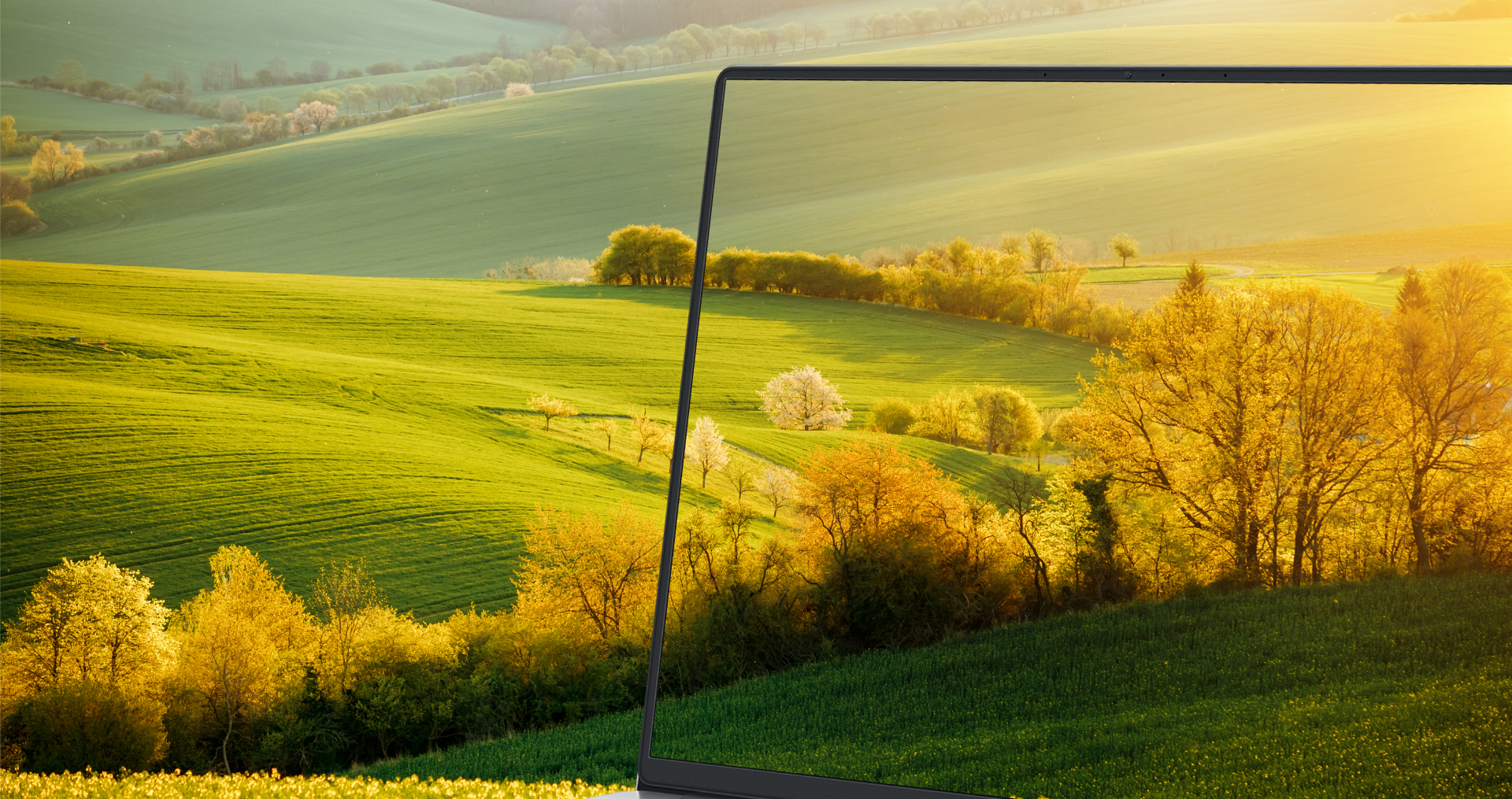 用眼健康 多重保障