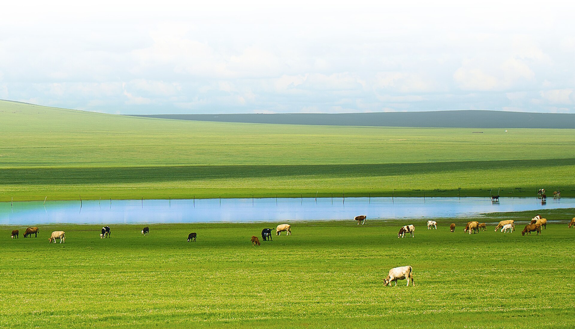 多重护眼，呵护用眼健康 1