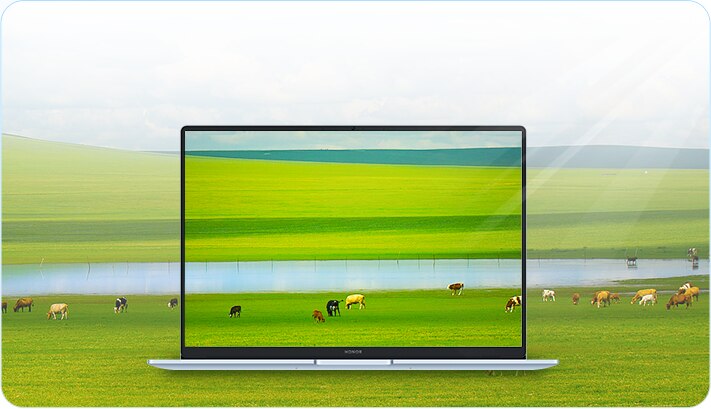 荣耀MagicBook Z5 16 类自然光护眼高清屏