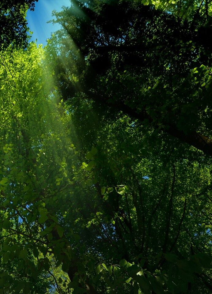 4320Hz 超高频 PWM零风险调光