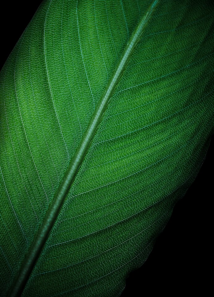 超高频PWM零风险调光