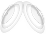 静态