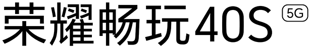 荣耀畅玩40C