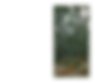 为动容，添从容