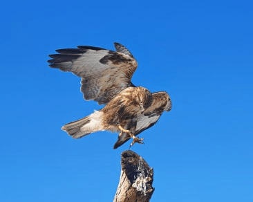 为动容，添从容