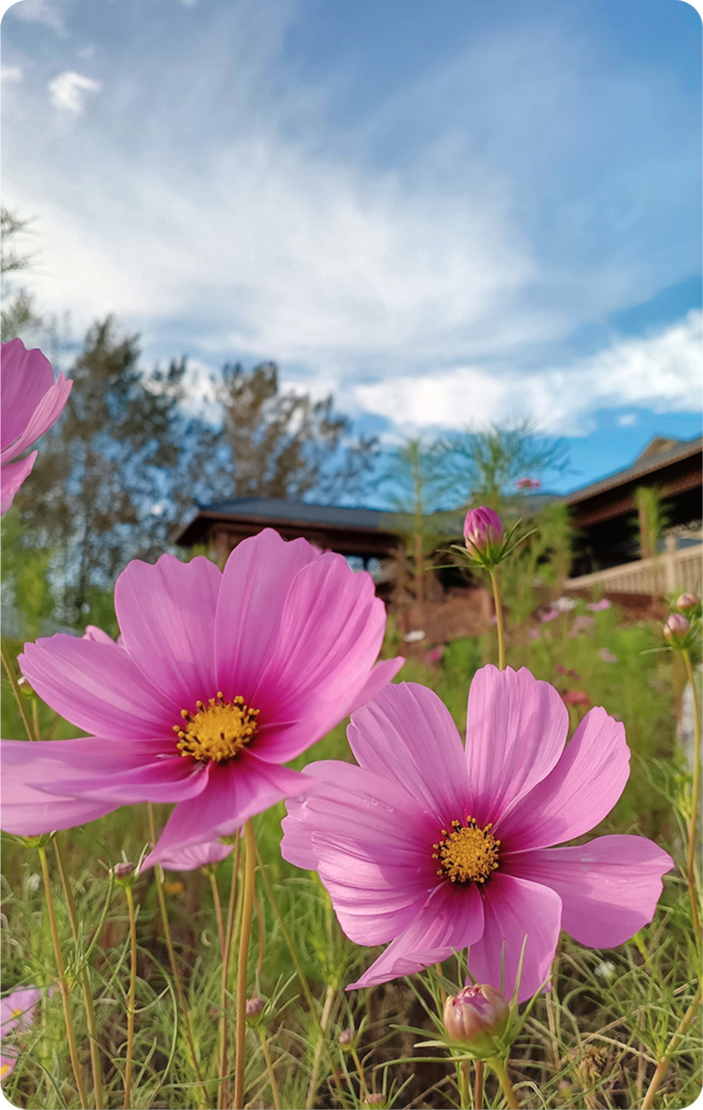 5000万像素实力超清影像 1