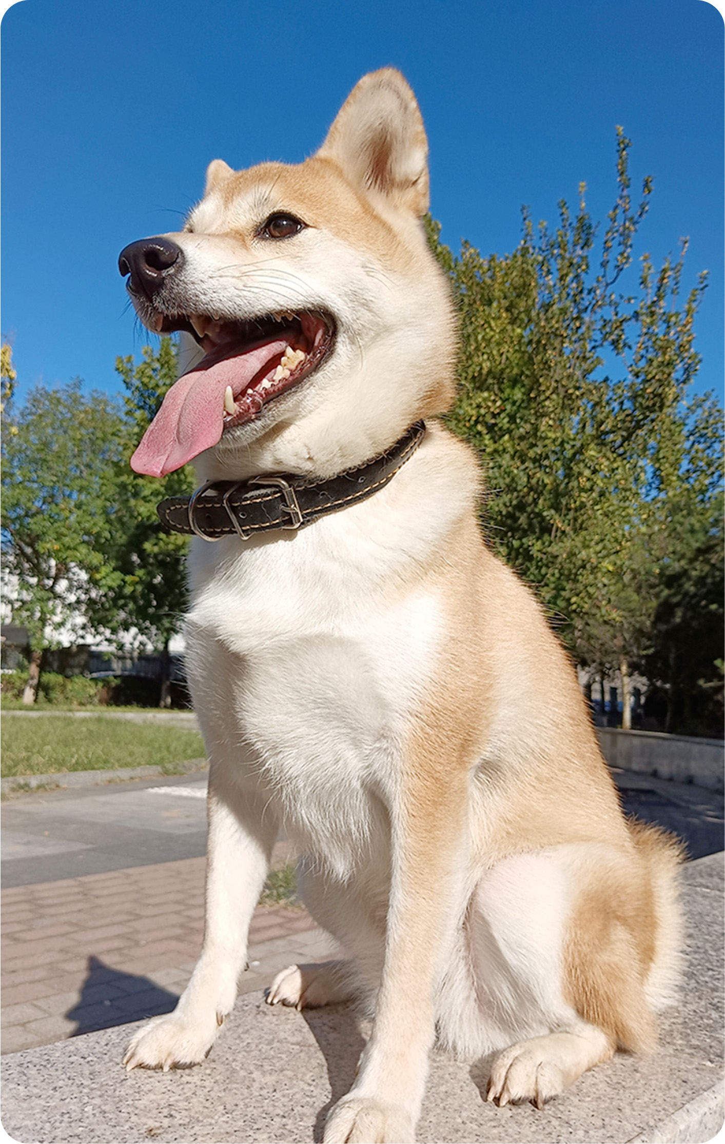 5000万像素实力超清影像 4