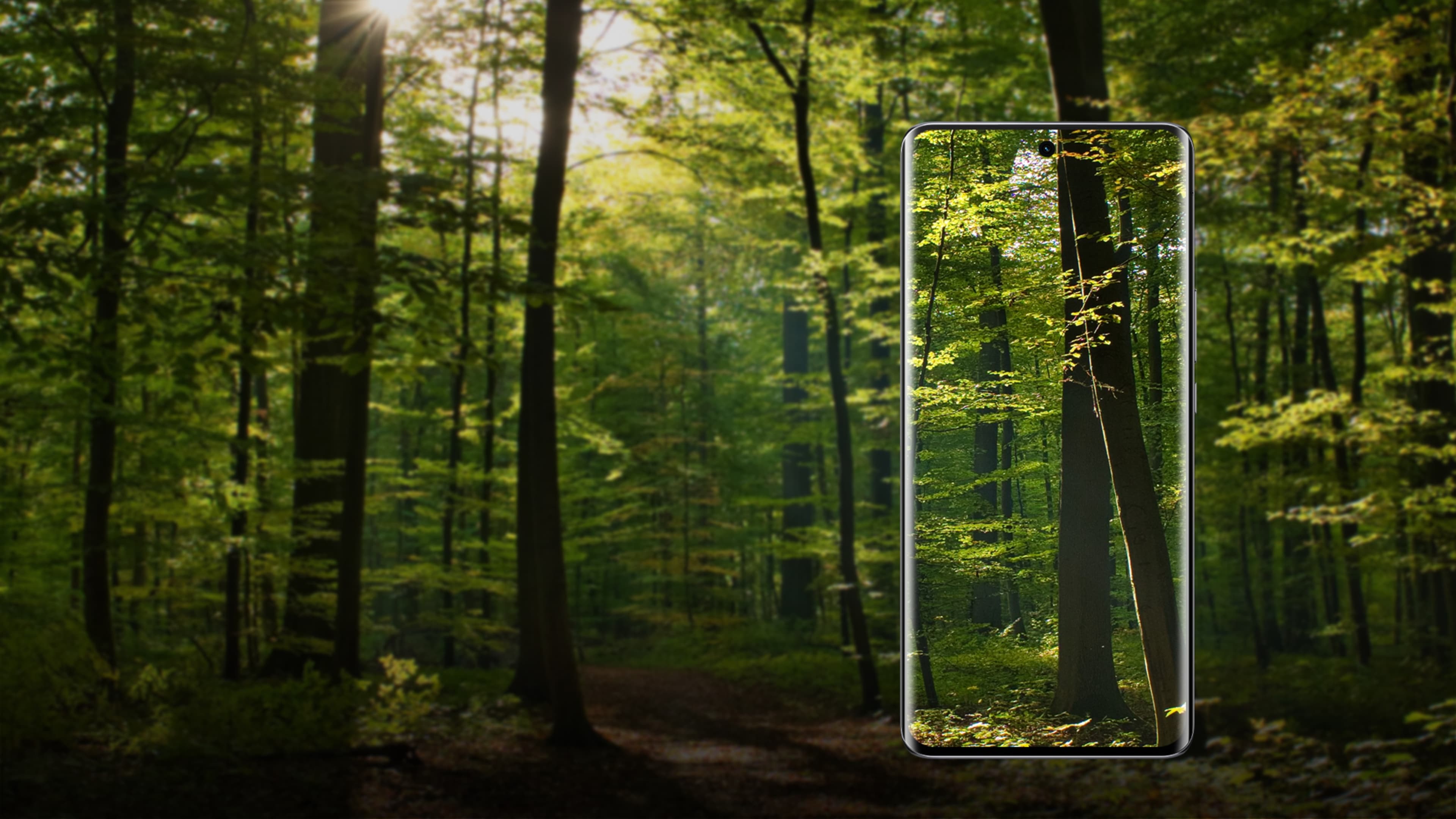 五维护眼，呵护双眼