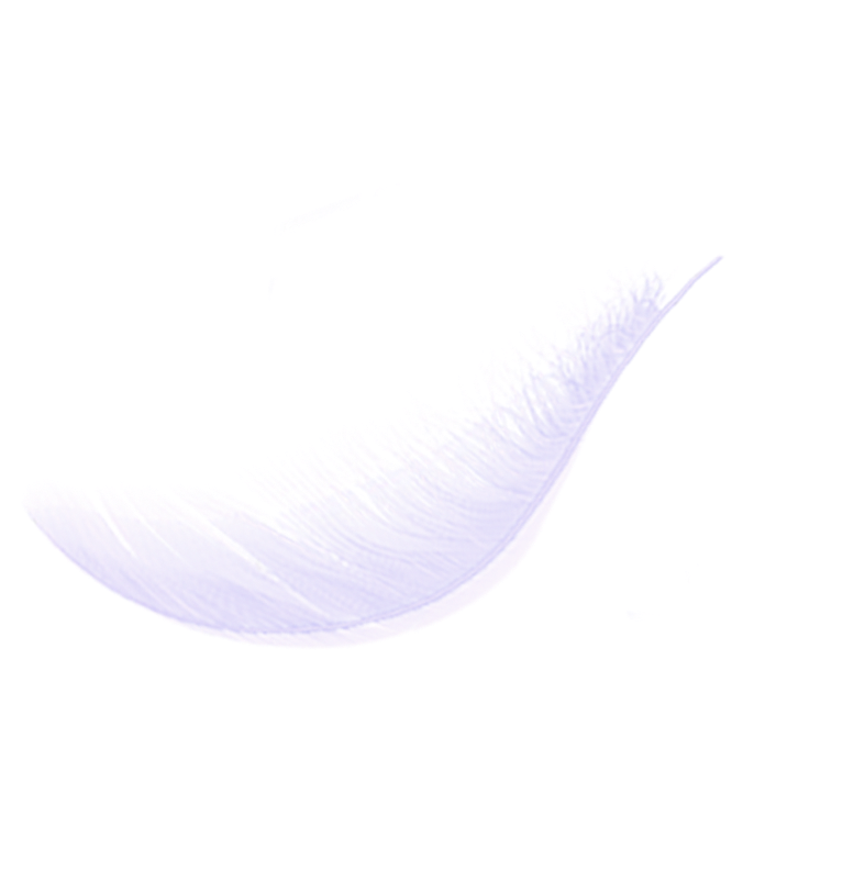 轻盈若羽 易持合手 5