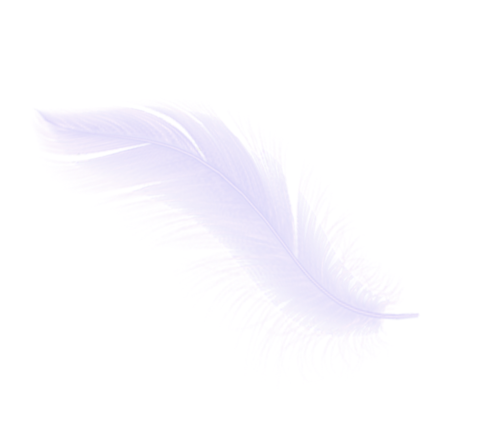 轻盈若羽 易持合手 6