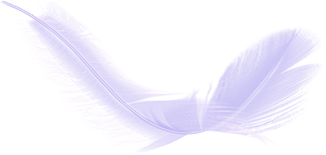 轻盈若羽 易持合手 7