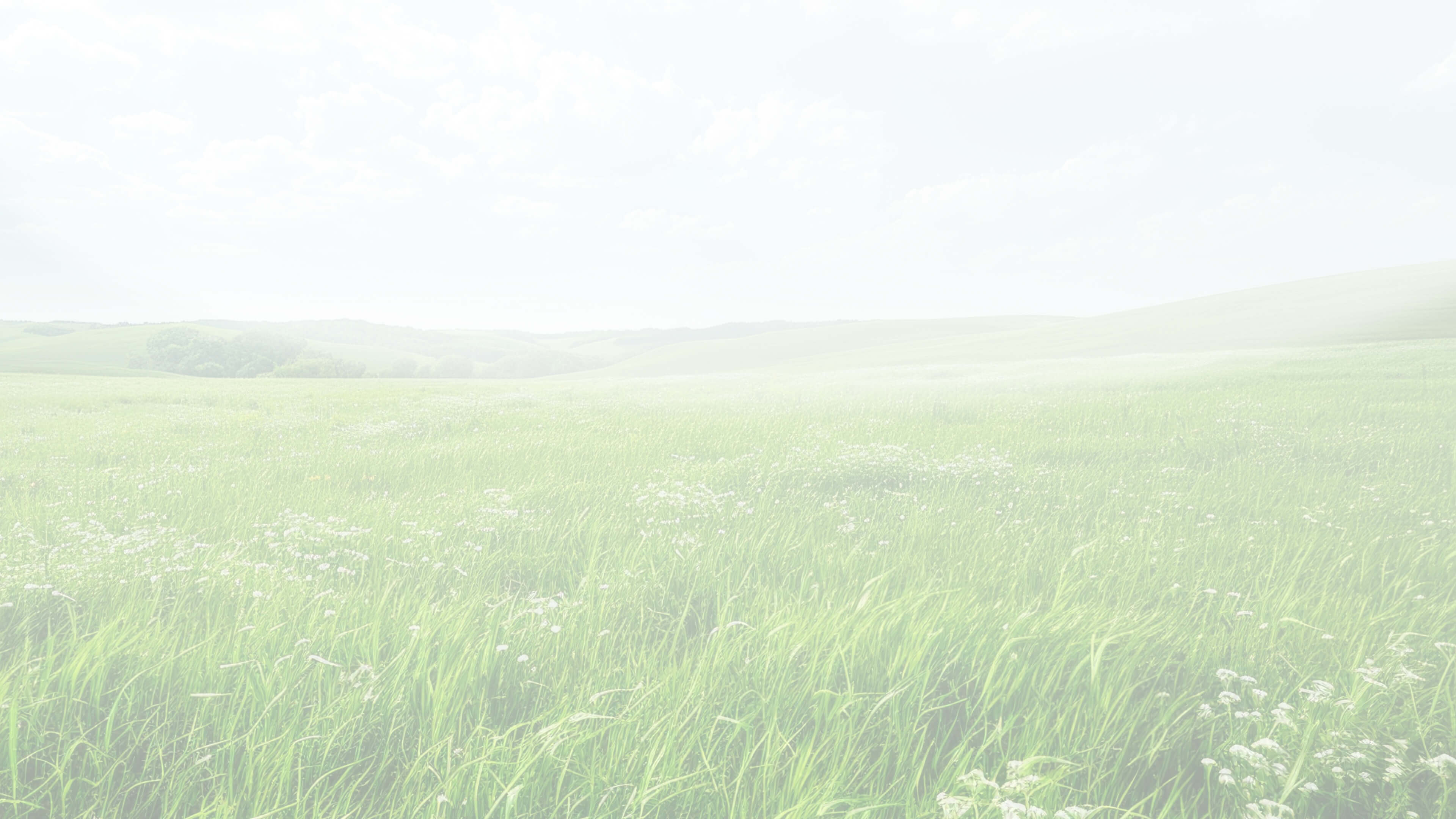 安心之选，七维护眼 1