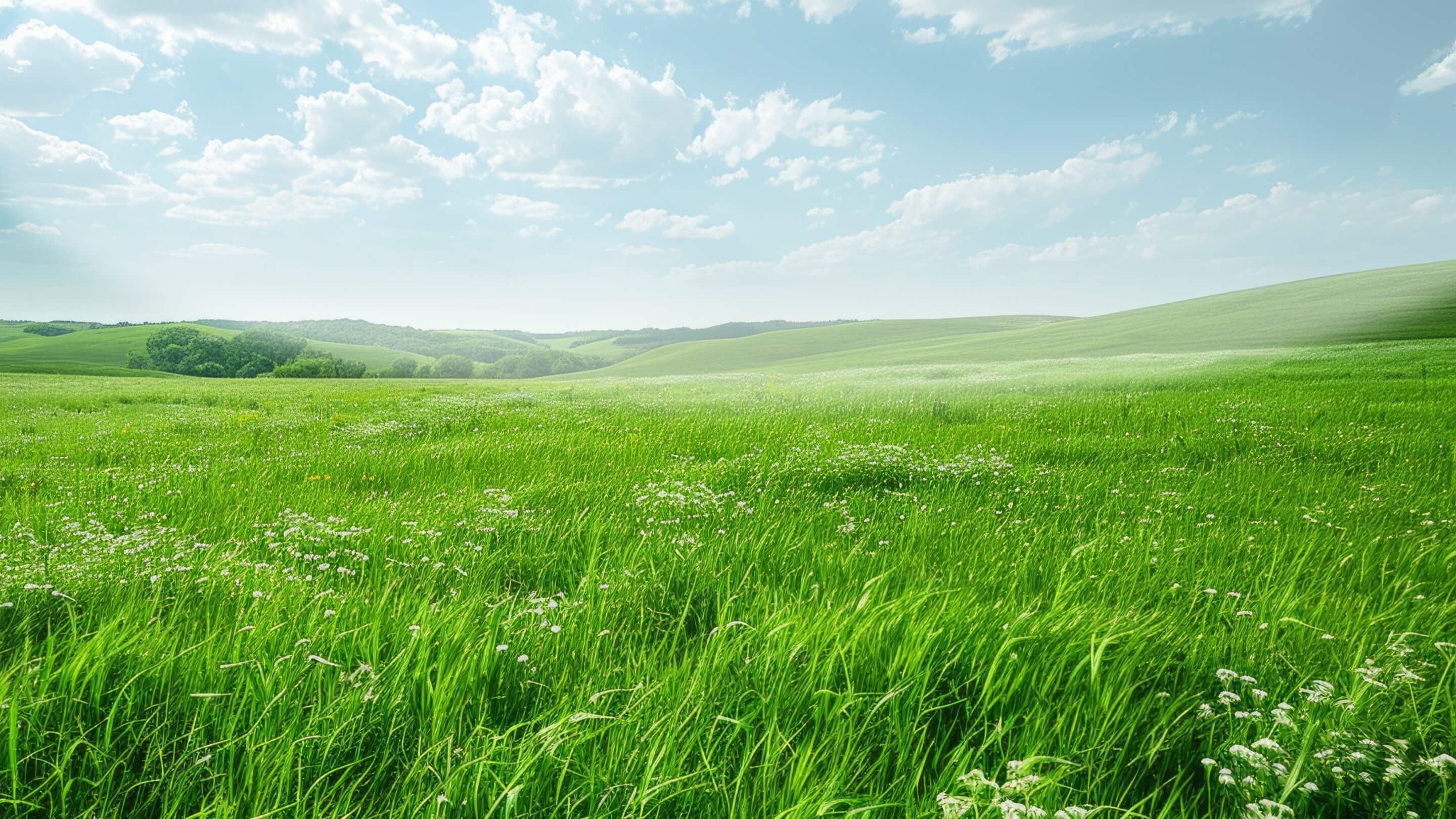 安心之选，七维护眼 2