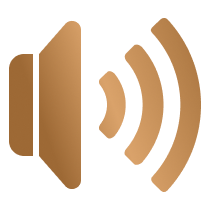 自动免提、降噪