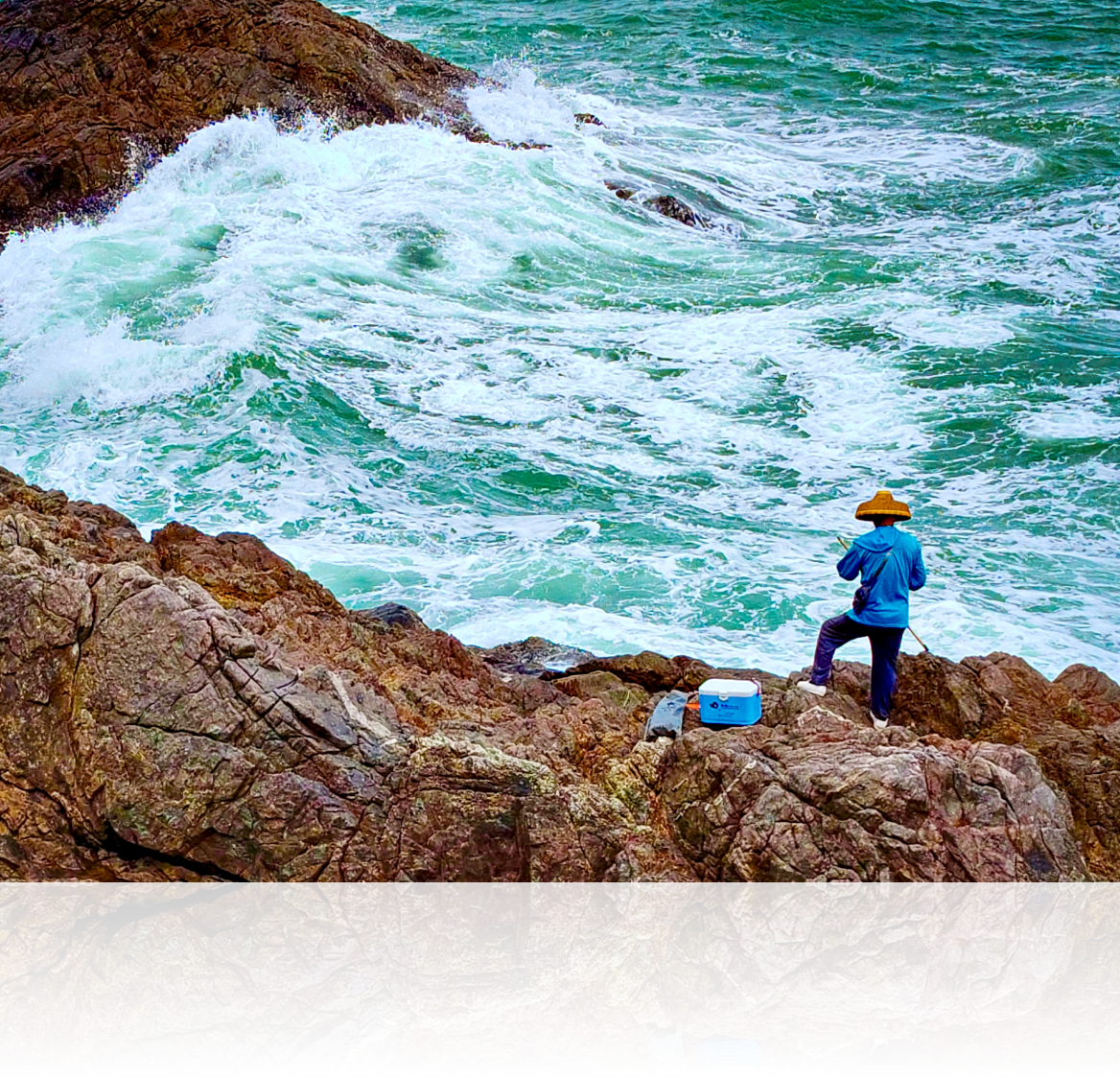 5000 万超清主摄 放大也清晰 1