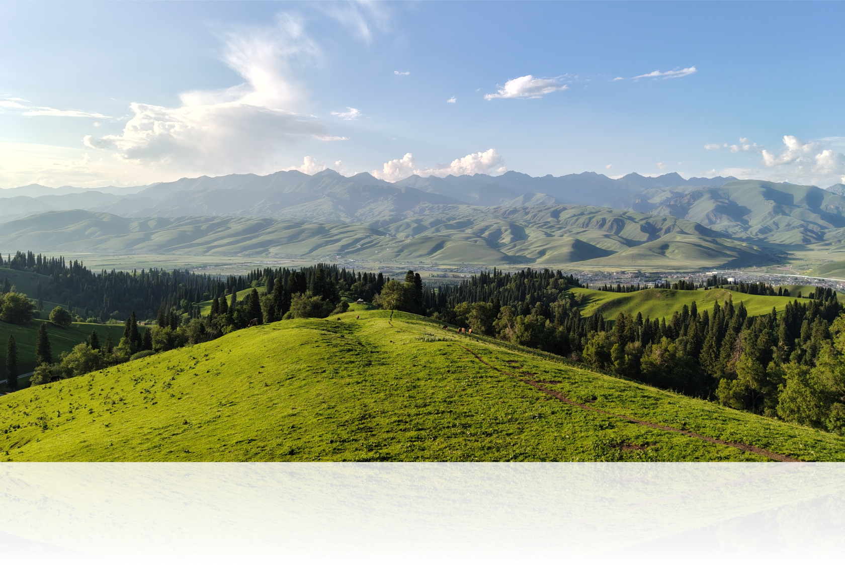 5000 万超清主摄 放大也清晰 2