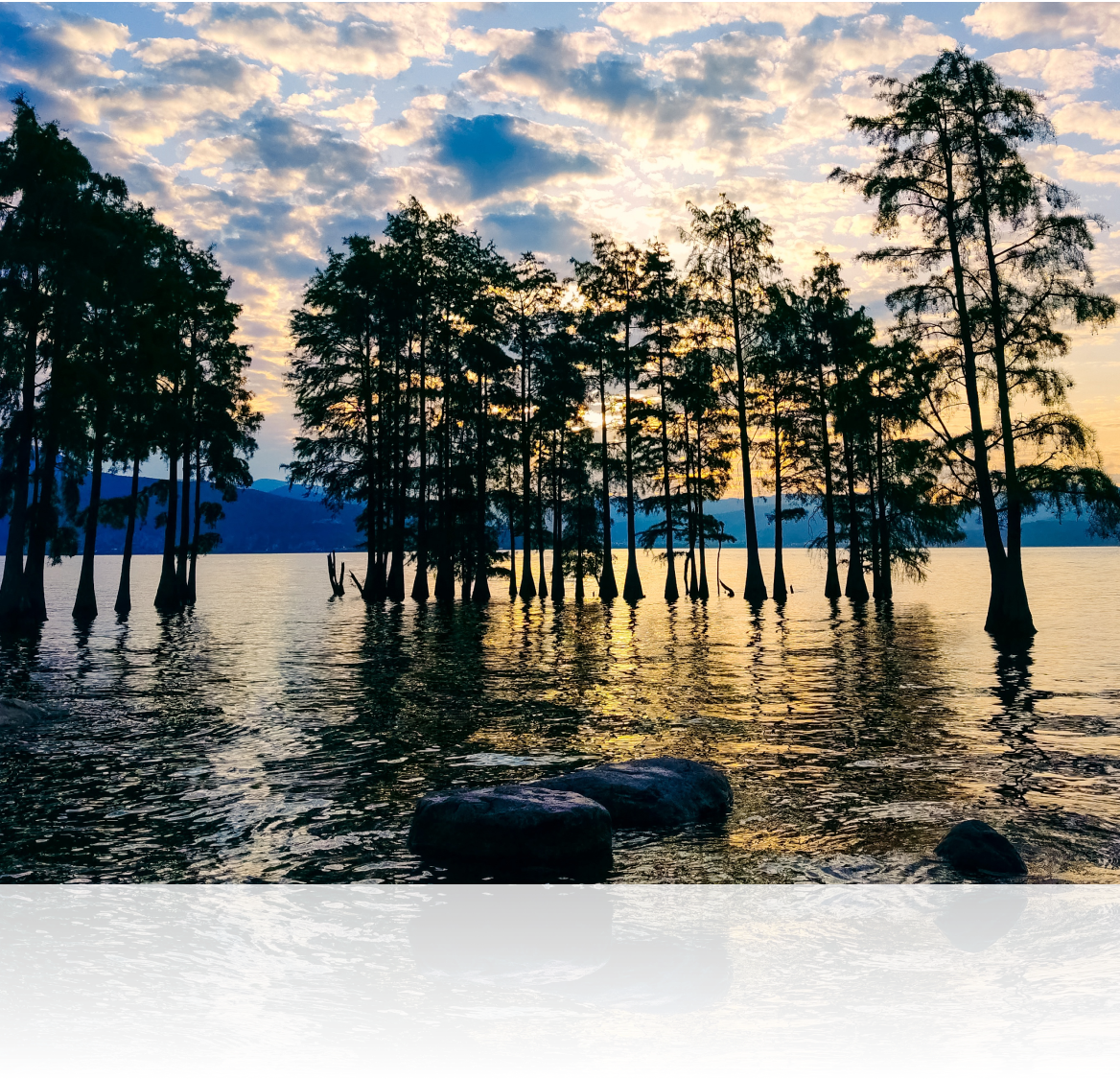 OIS 光学防抖 暗光也出片 2