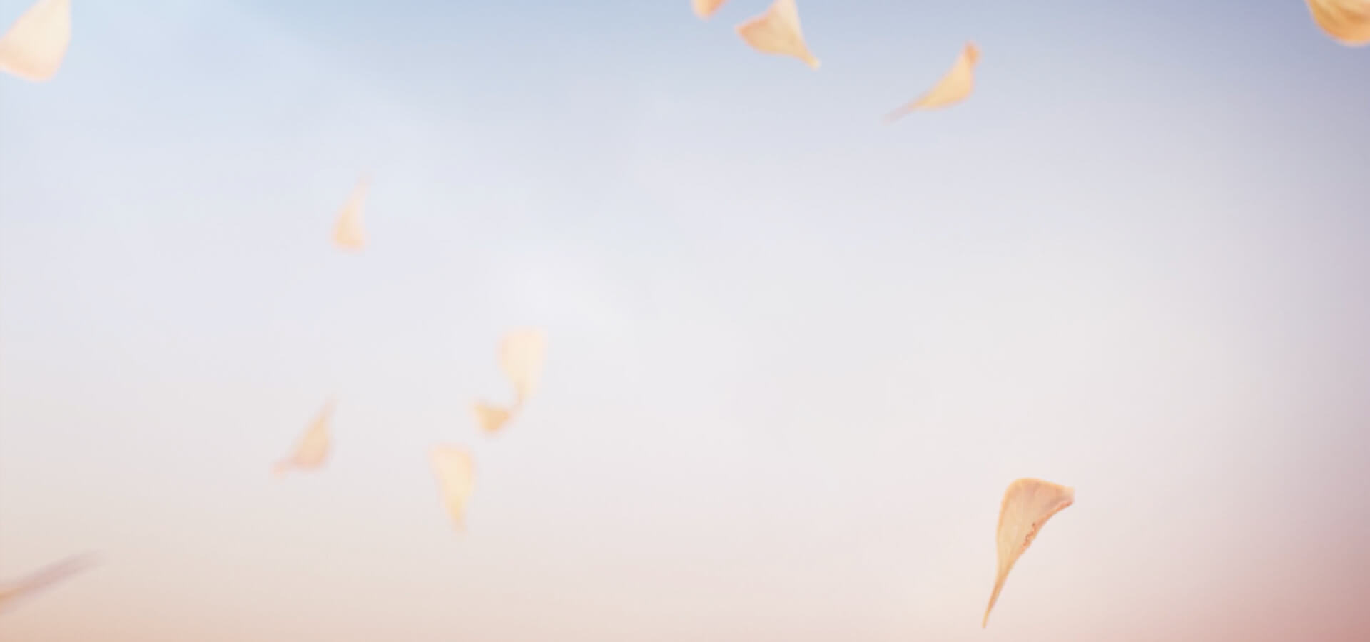 荣耀60 Pro 朱丽叶