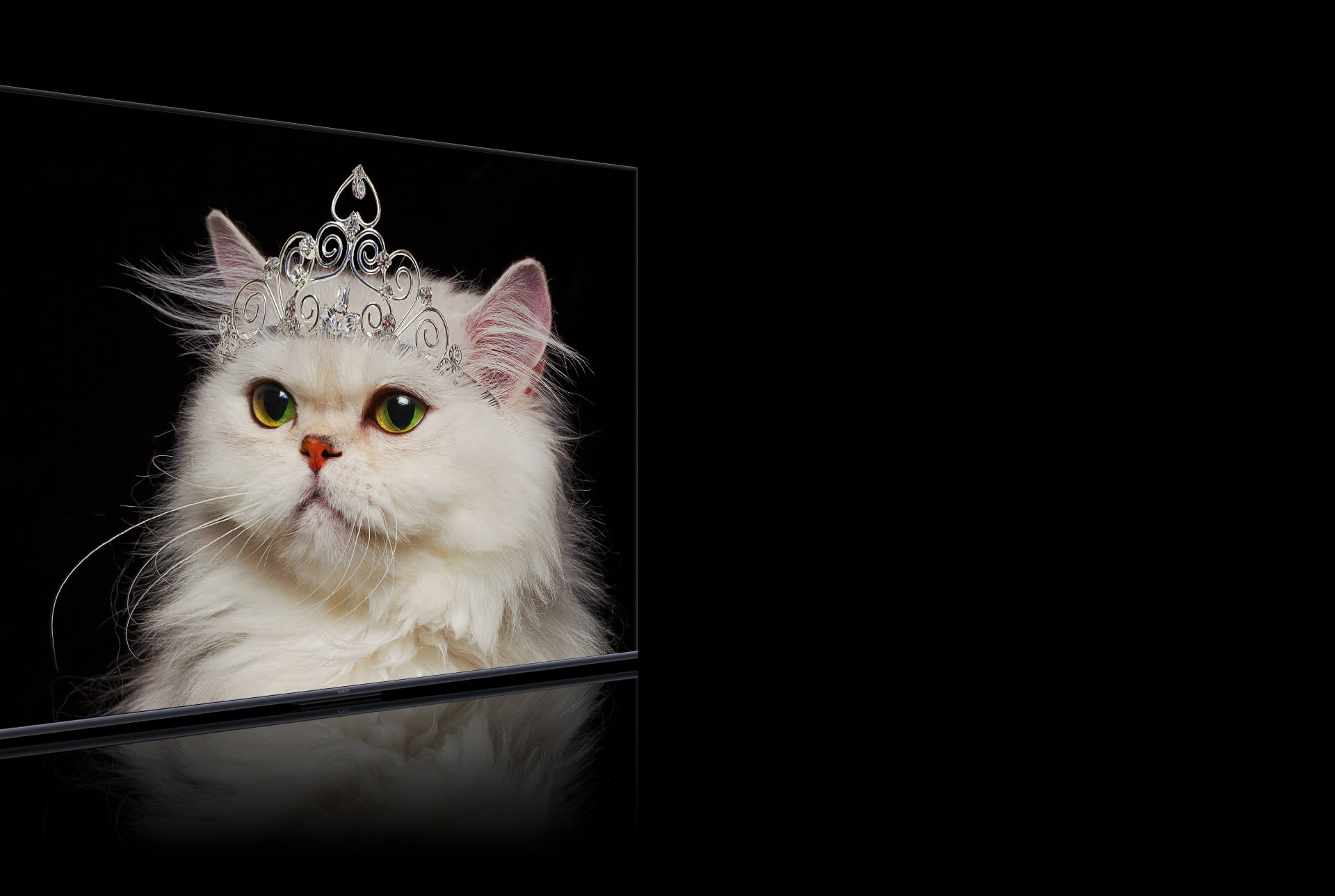 8K解码，清晰可见