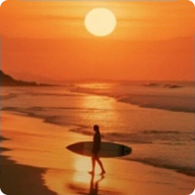 荣耀 AI 赋能你的生活 - 11