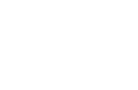 Potencia dual incomparable