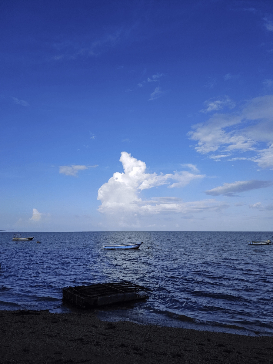 3x Zoom sin pérdida de calidad