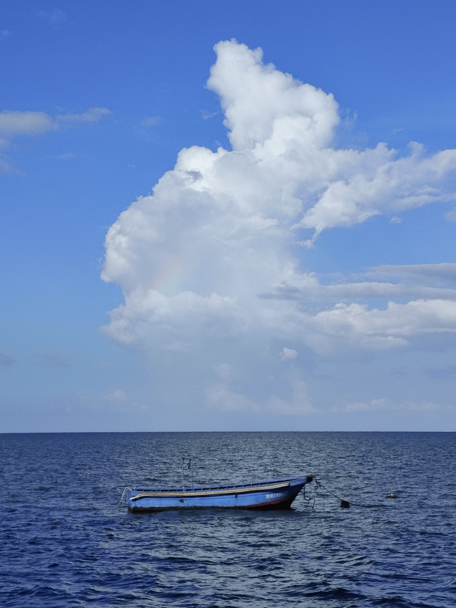 3x Zoom sin pérdida de calidad