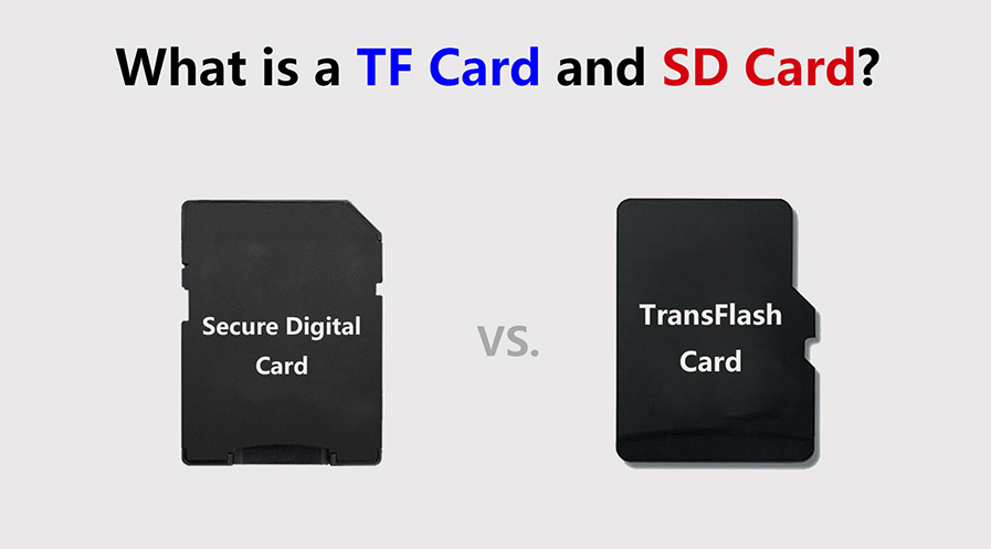 What is a TF Card and SD Card? Upgrade Your Card Storage Today