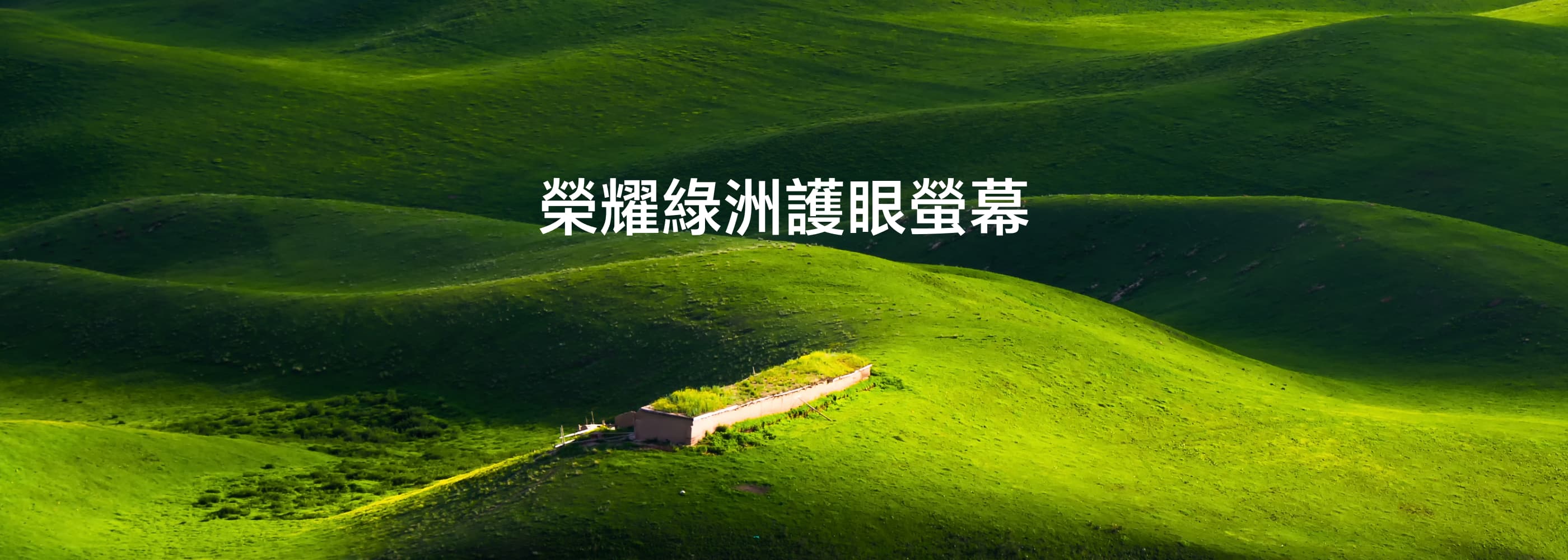 HONOR AI 仿自然光護眼螢幕技術