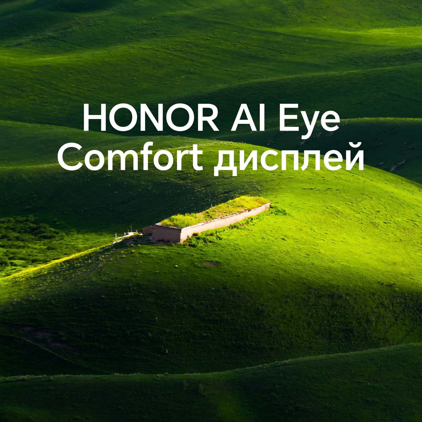HONOR AI Eye Comfort Дисплей
