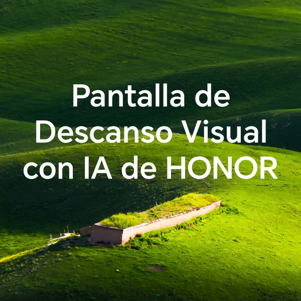 Pantalla de Descanso Visual con IA de HONOR